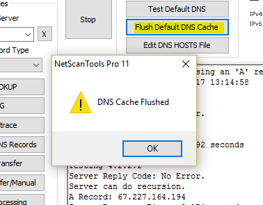 Flush Default DNS Cache Screenshot